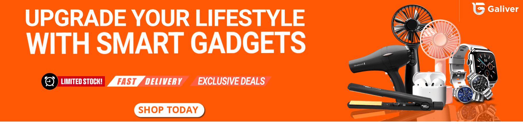 Picture of the author